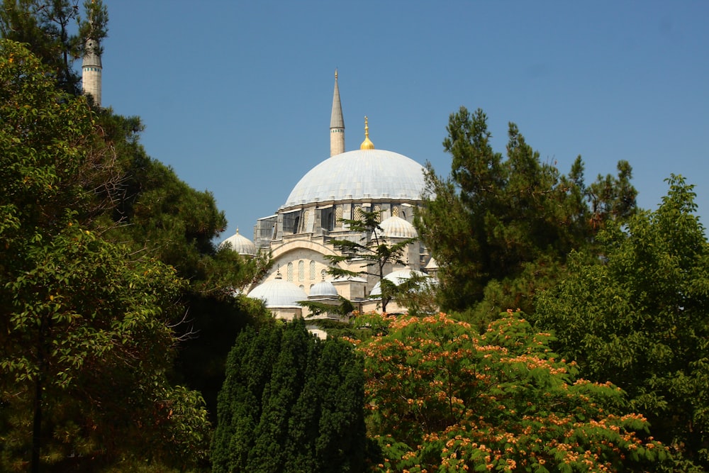 a large white building surrounded by trees and bushes