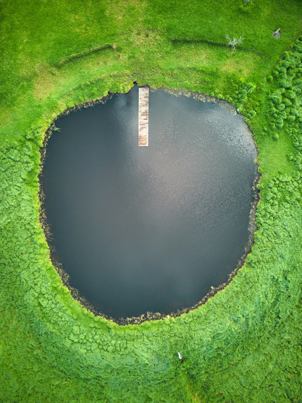 a large body of water surrounded by lush green grass