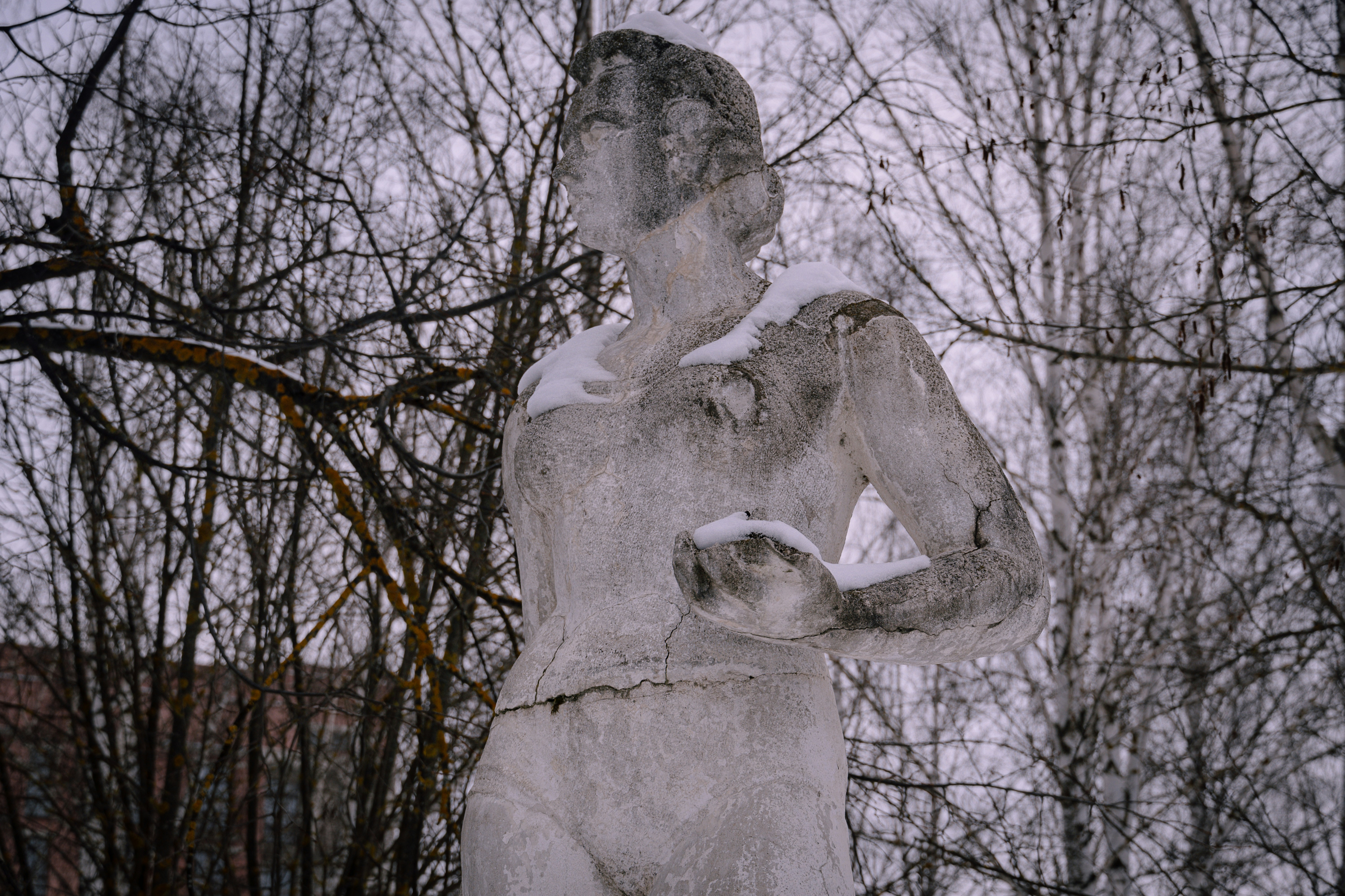 a statue of a man standing in front of some trees