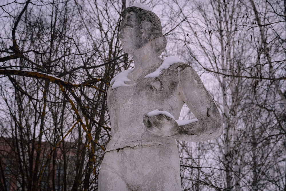 uma estátua de um homem em pé na frente de algumas árvores