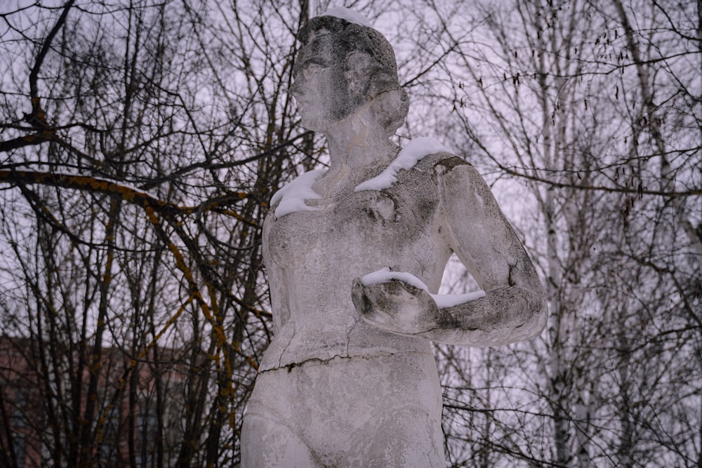 Una estatua de un hombre parado frente a unos árboles