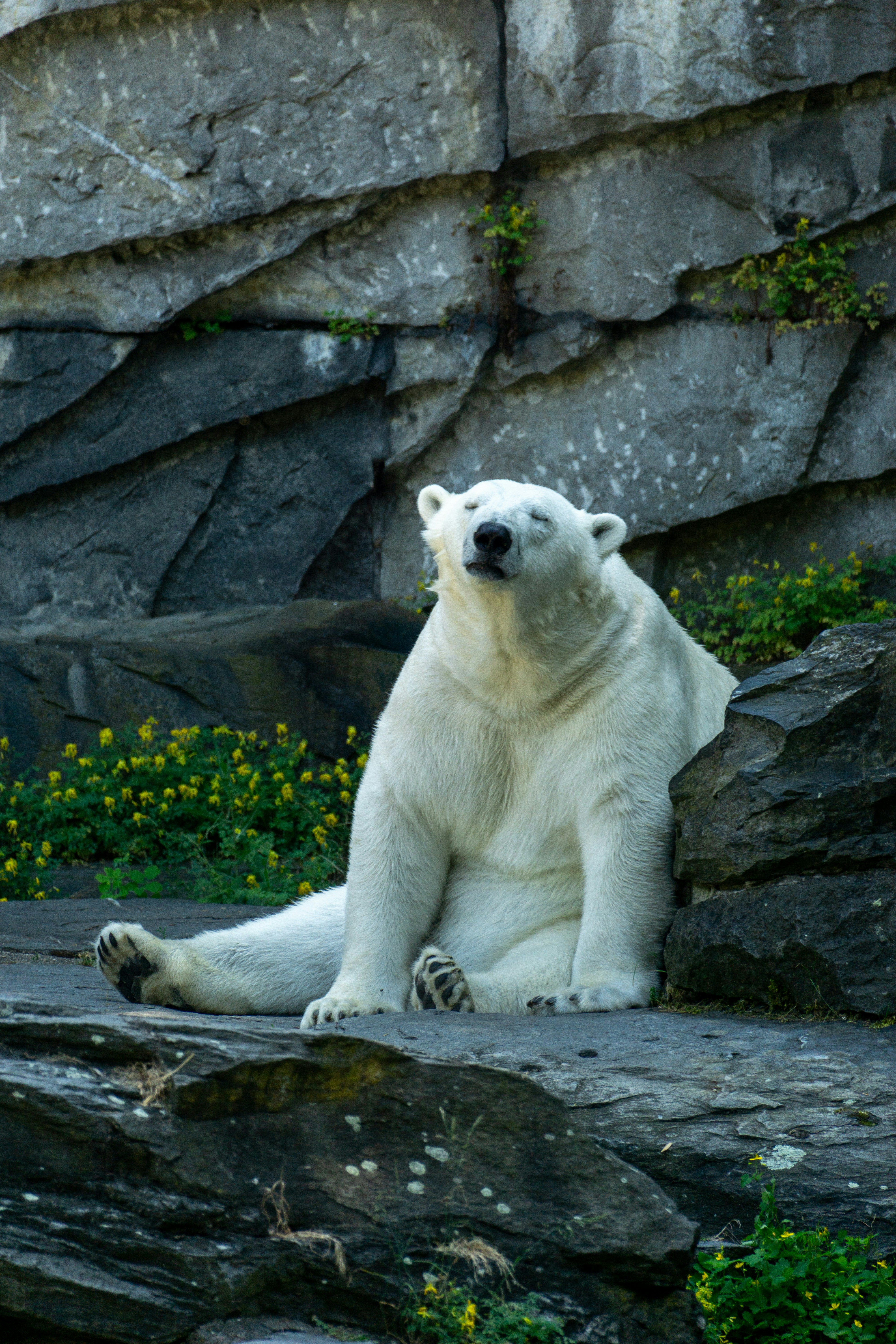 Photo by robertschwarz