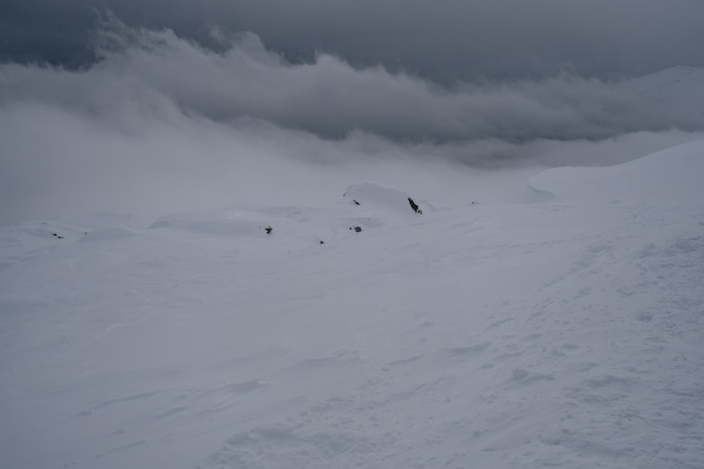 a group of people riding skis down a snow covered slope