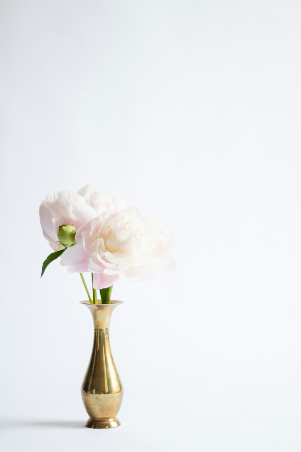 a gold vase filled with white flowers on top of a table