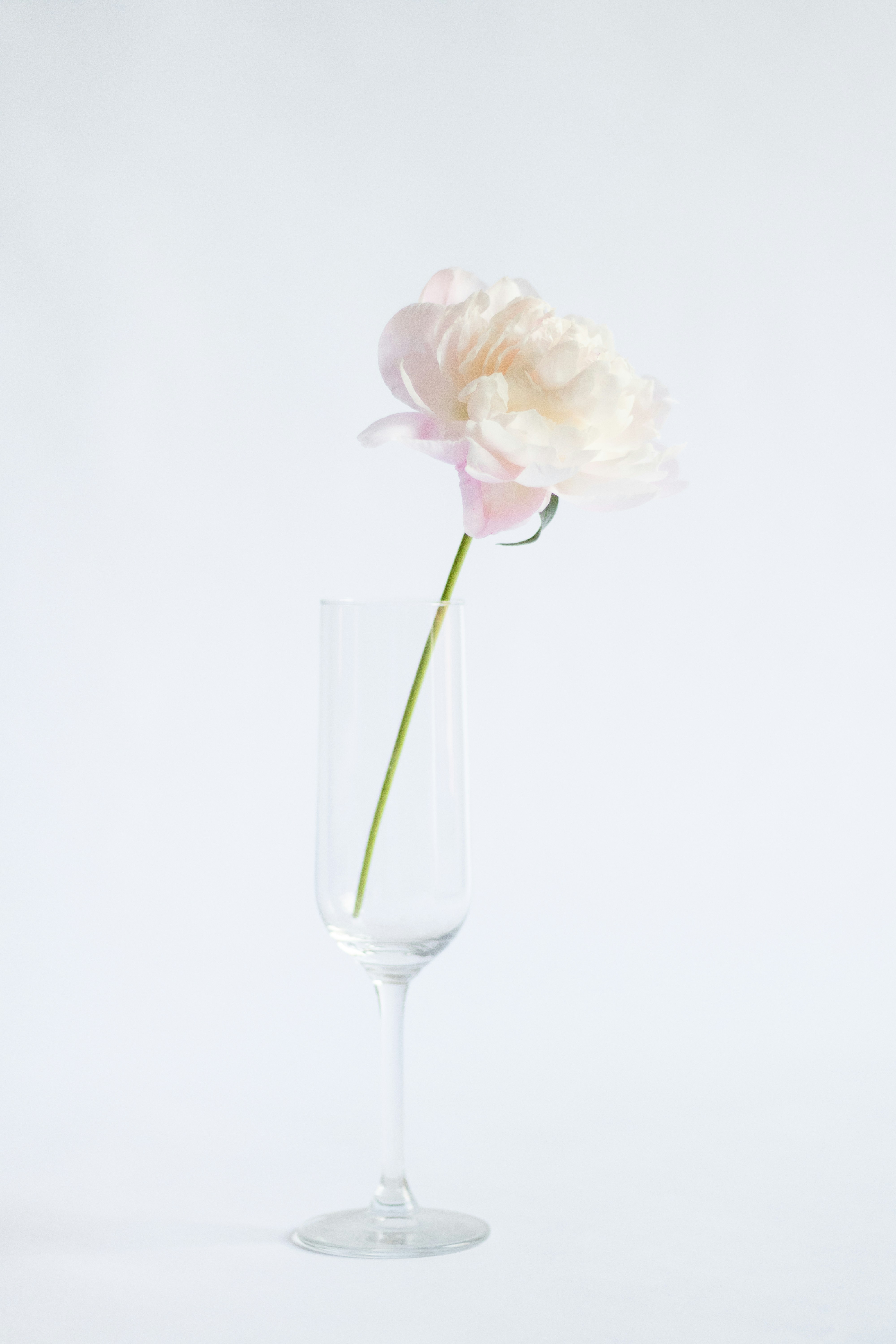 Photo by fionamurrayphoto