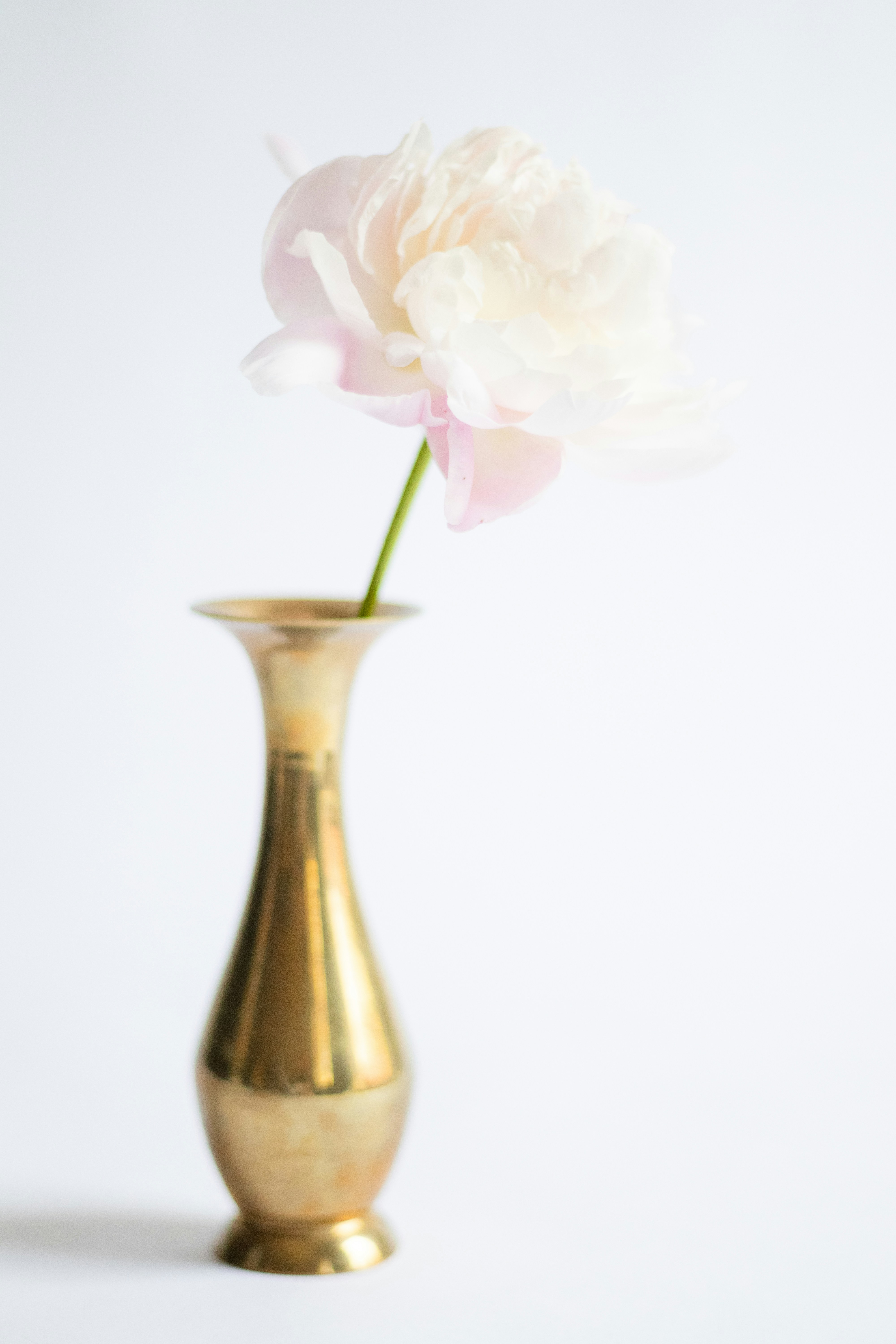 Photo by fionamurrayphoto