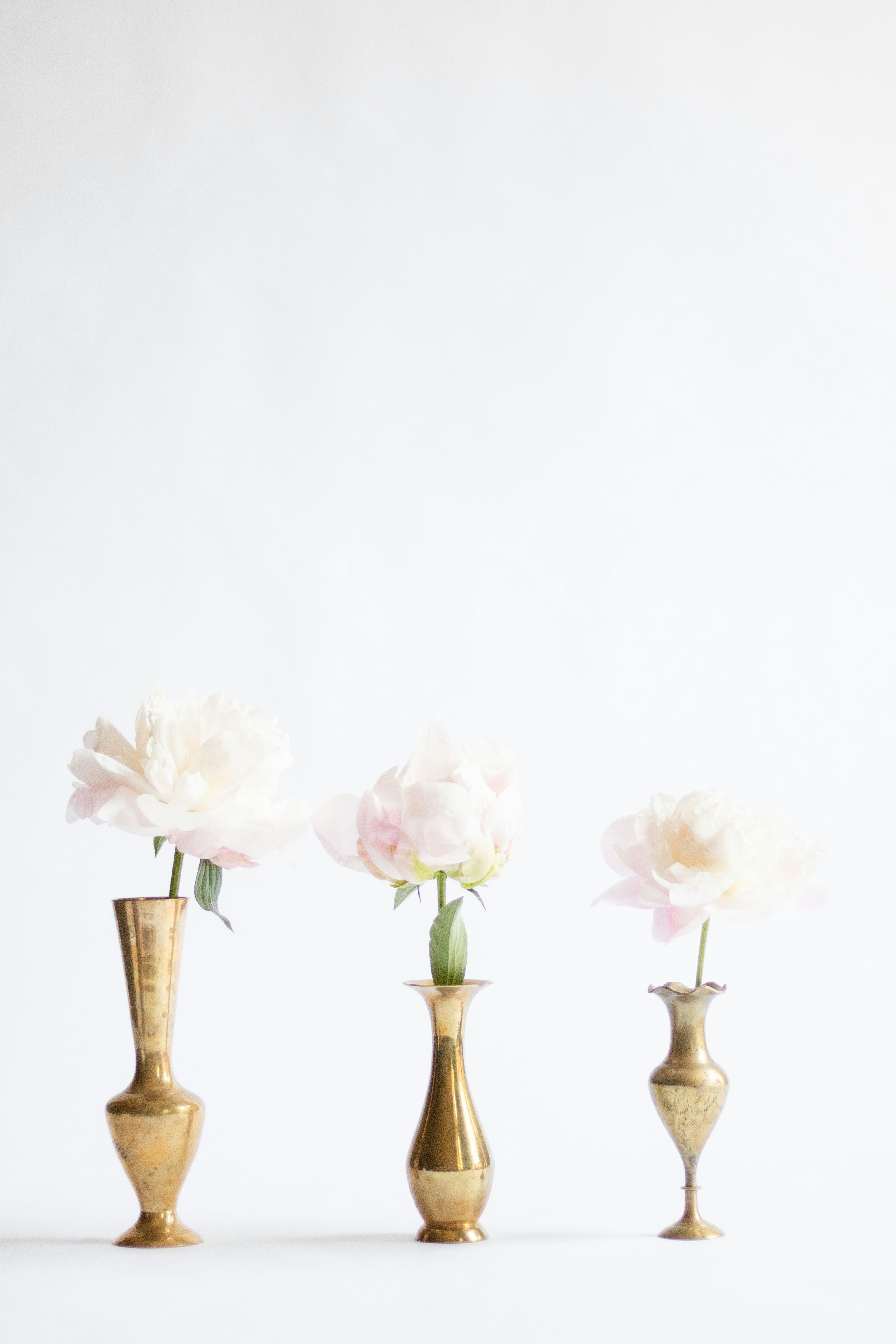 Photo by fionamurrayphoto