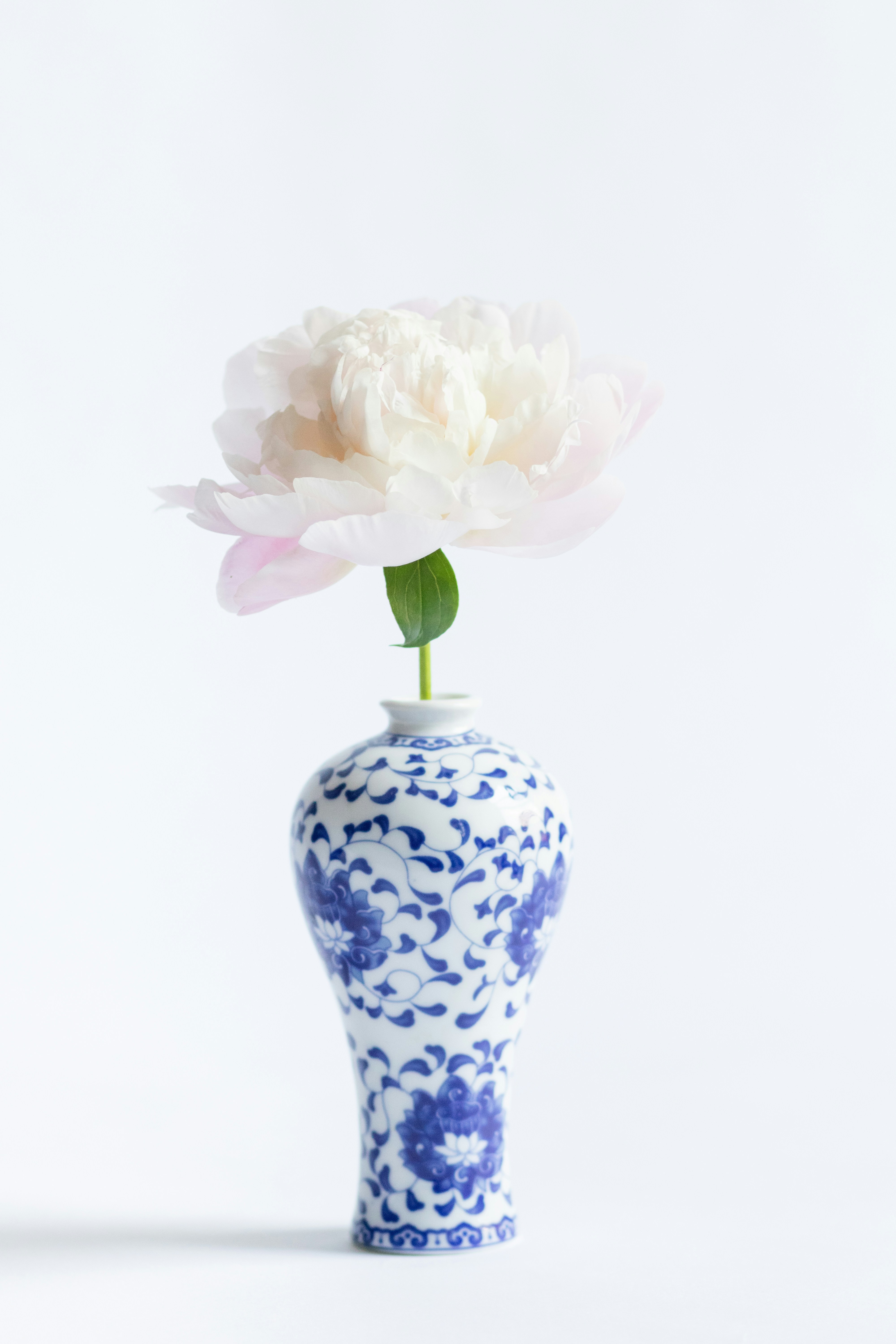 Photo by fionamurrayphoto