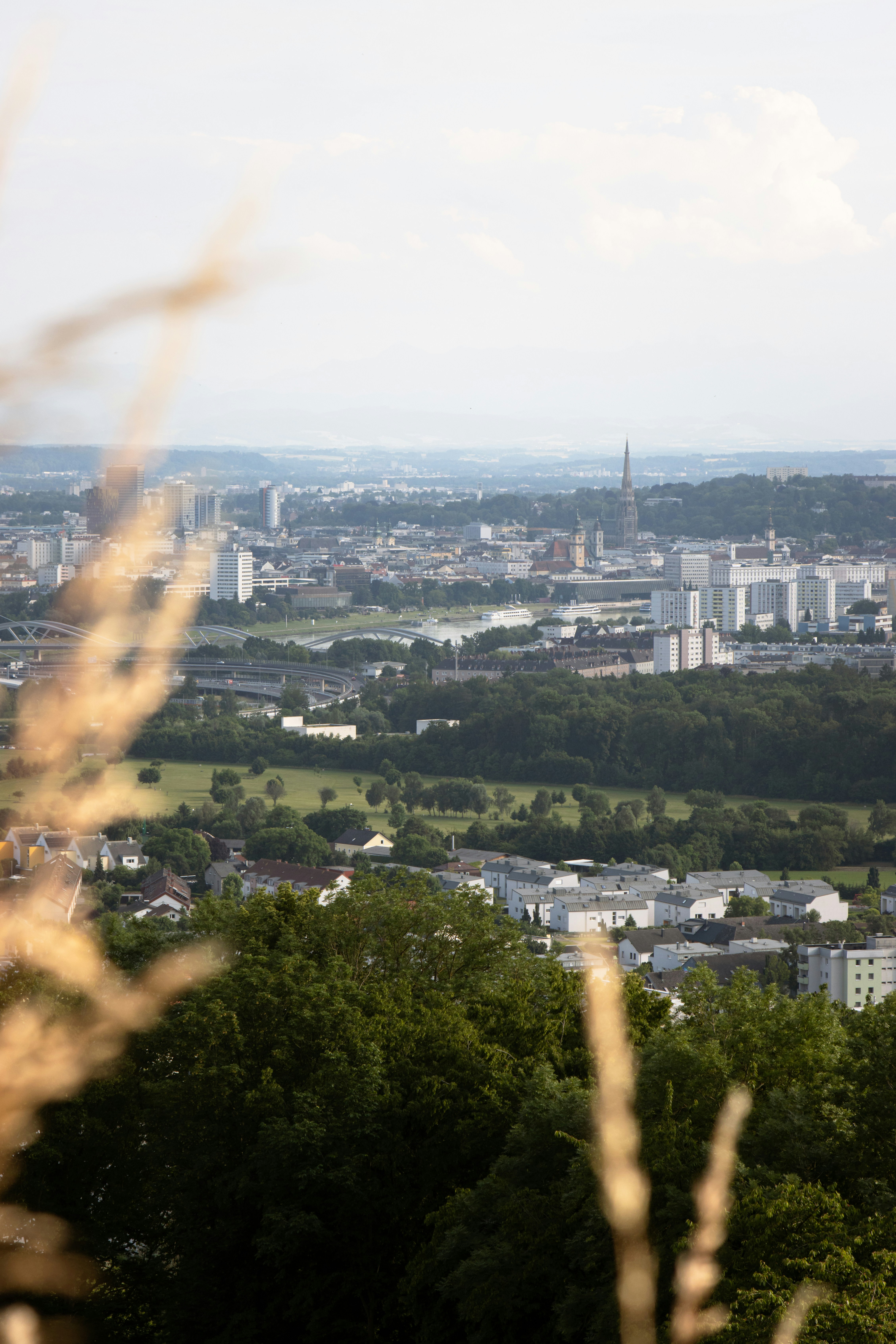 Photo by herrlechner