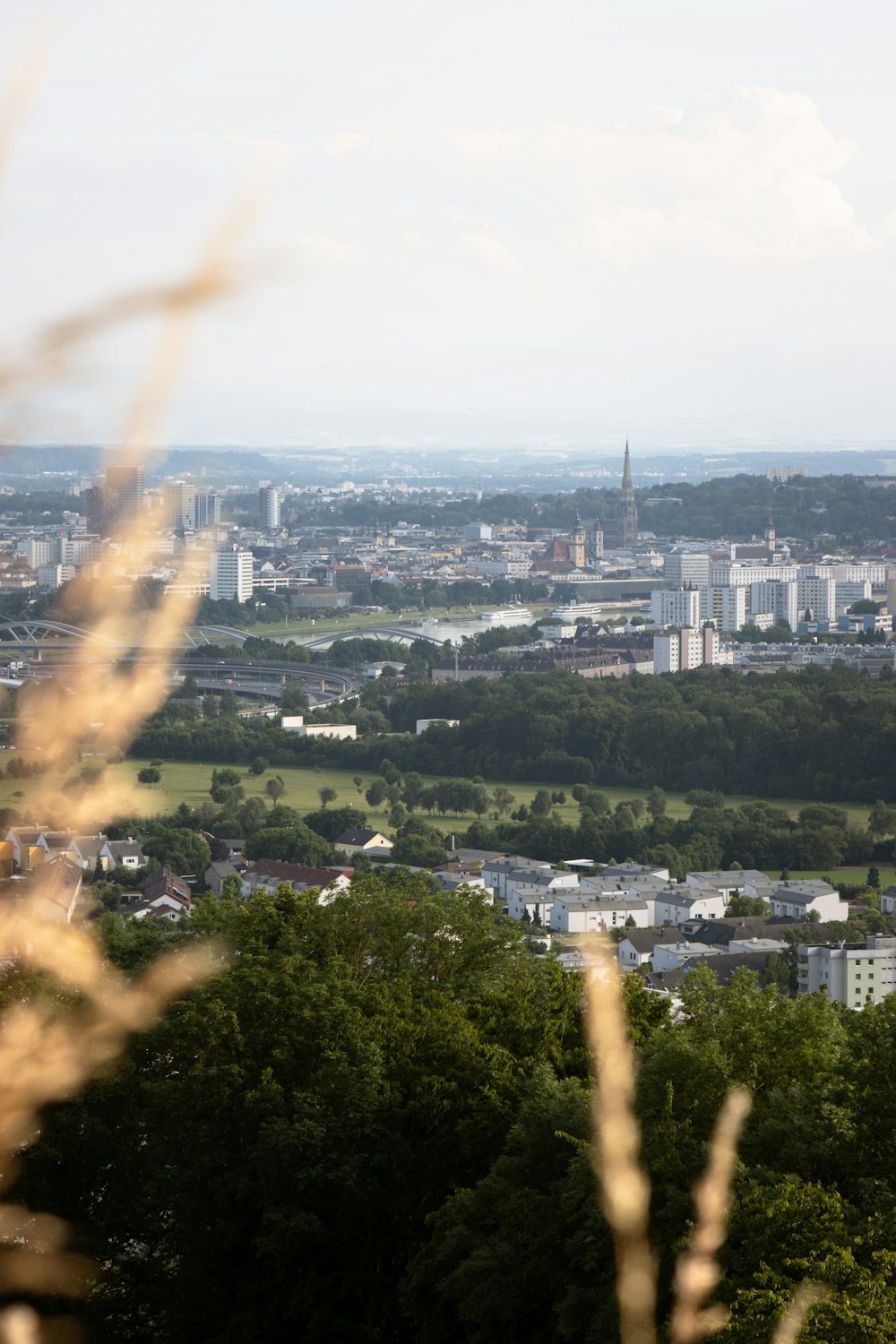 a view of a city from the top of a hill