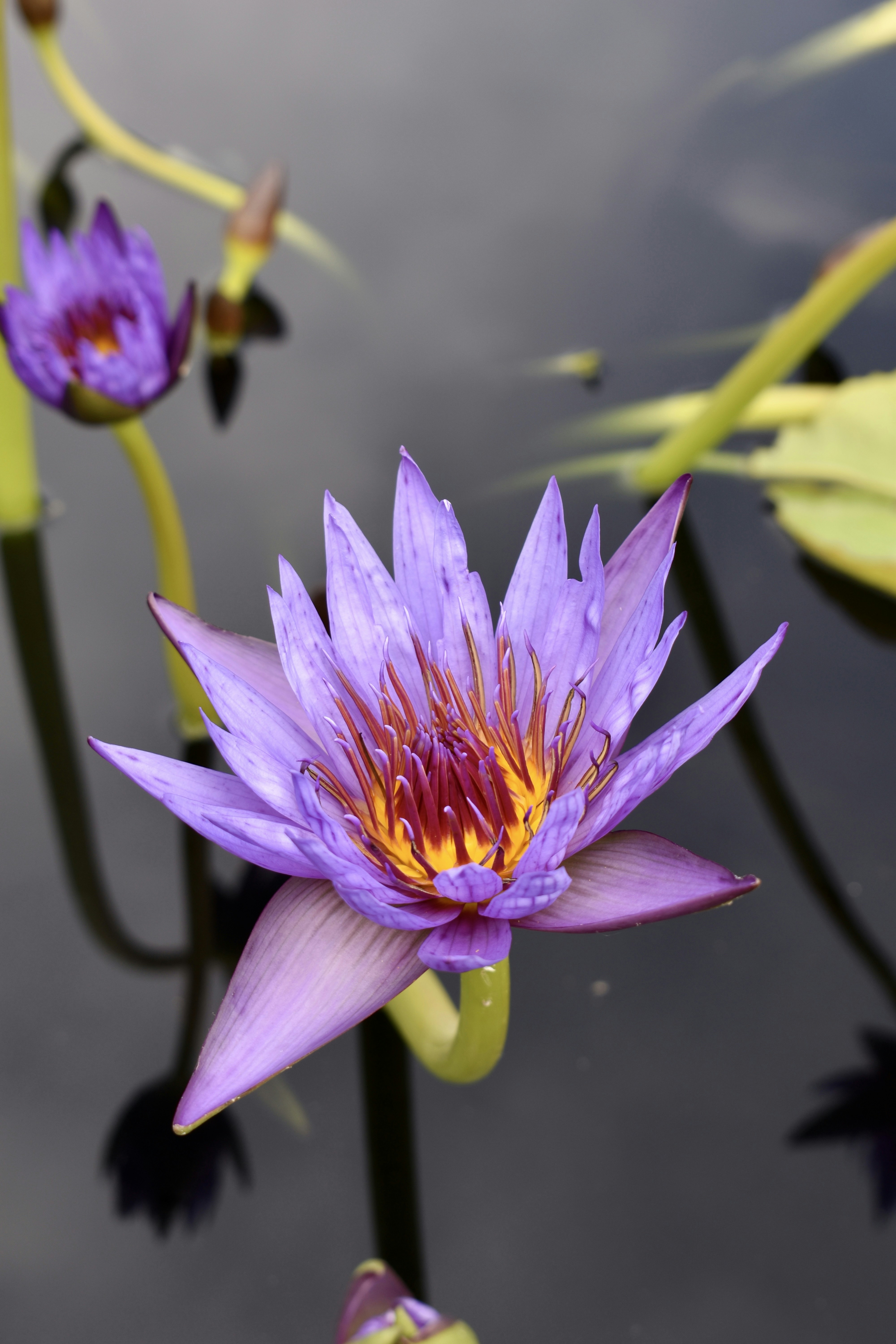 Photo by thebenitezz