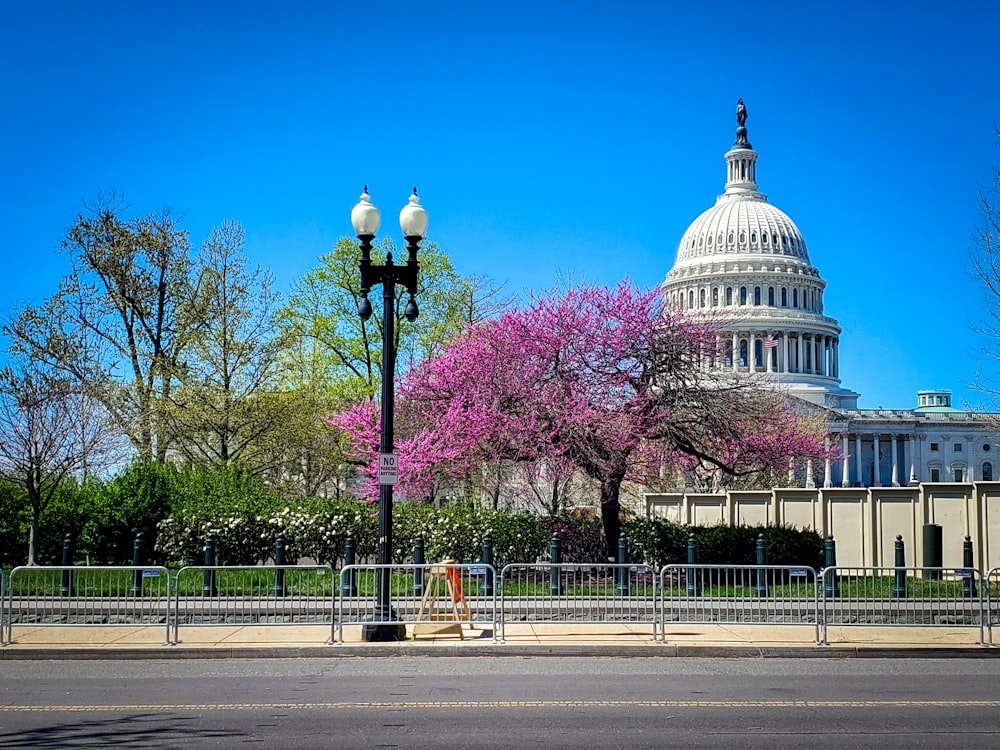 a view of the capital building from across the street