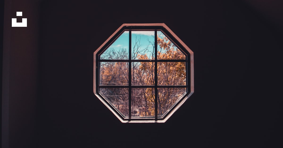 A window with a view of trees outside photo – Free Summer Image on Unsplash