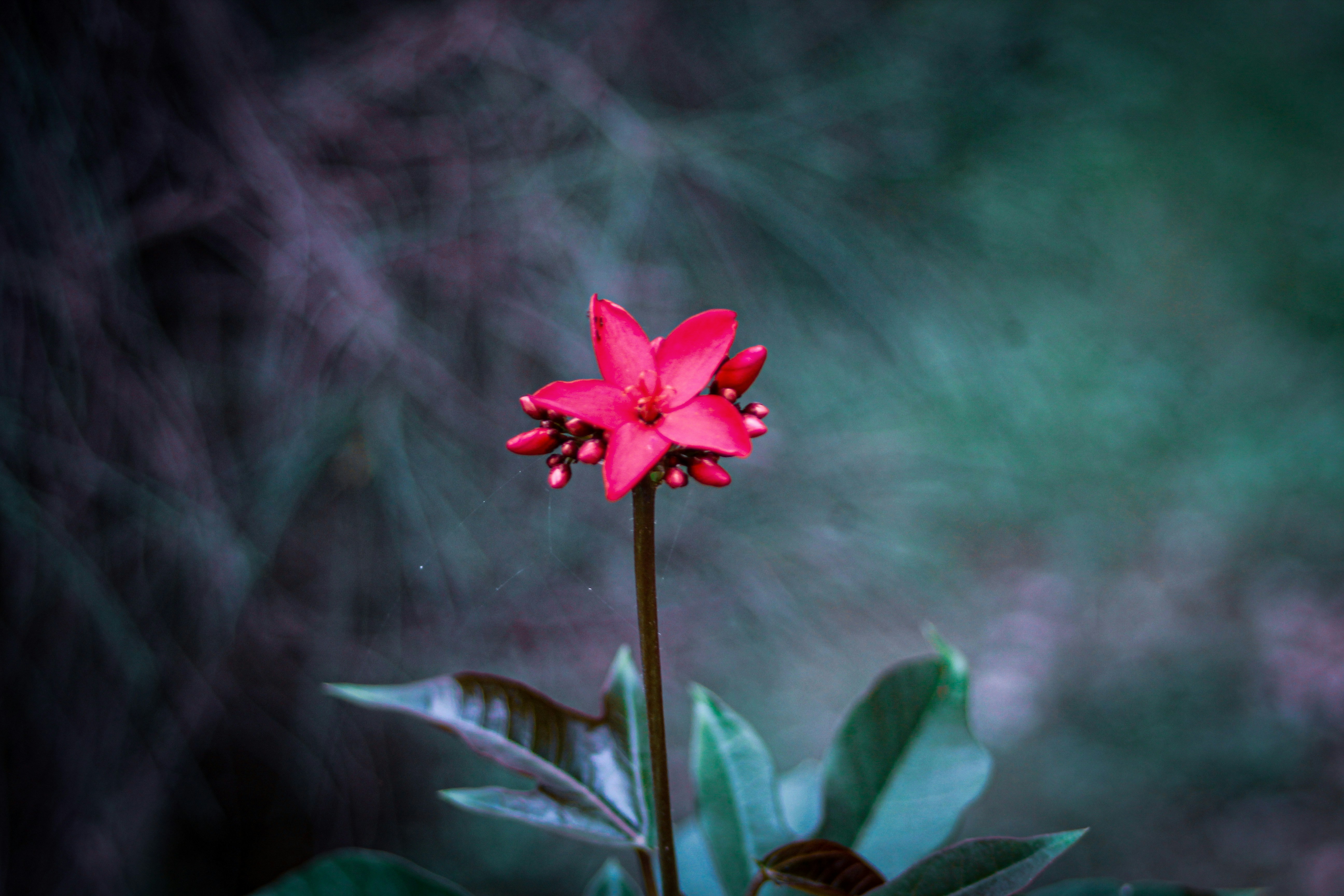 Photo by thaproducer