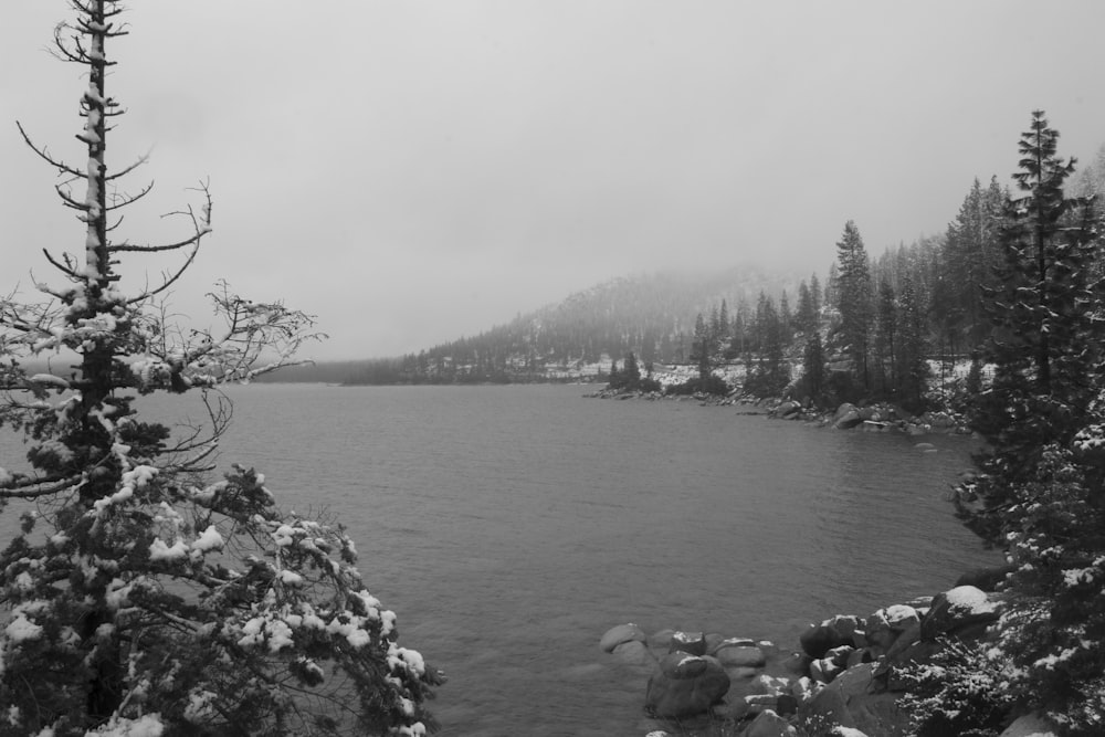 a black and white photo of a lake surrounded by trees