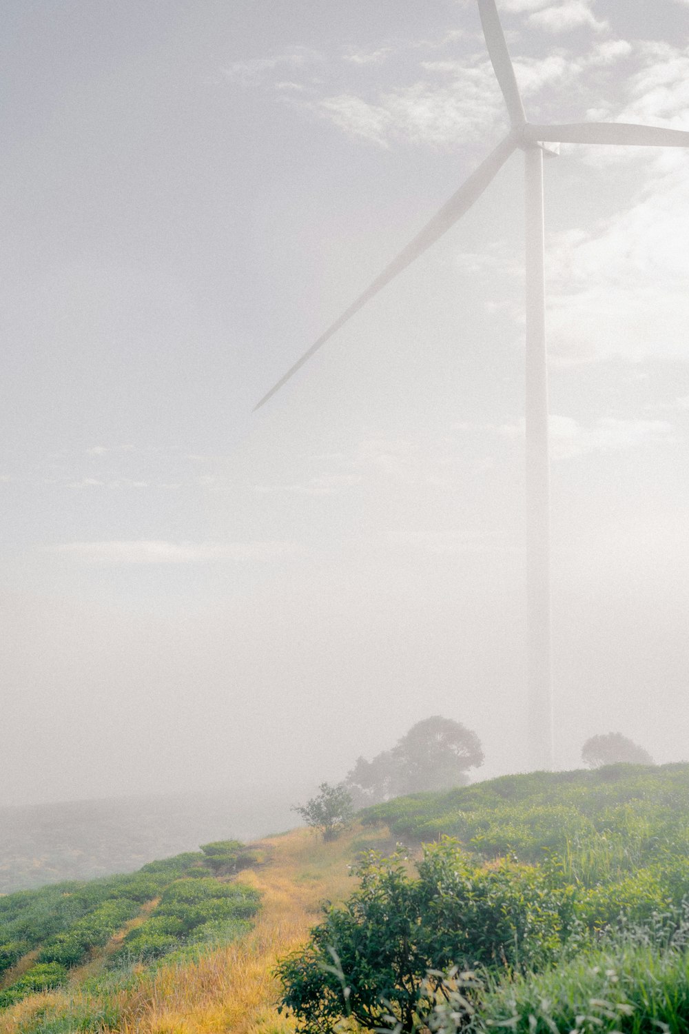 a wind turbine on top of a hill