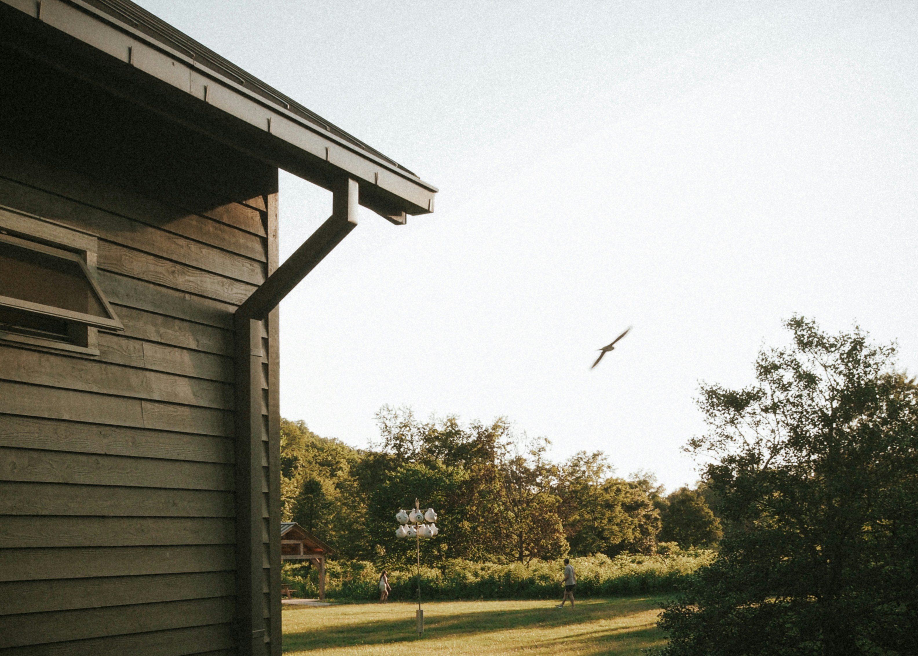 Photo by fieldworkframes