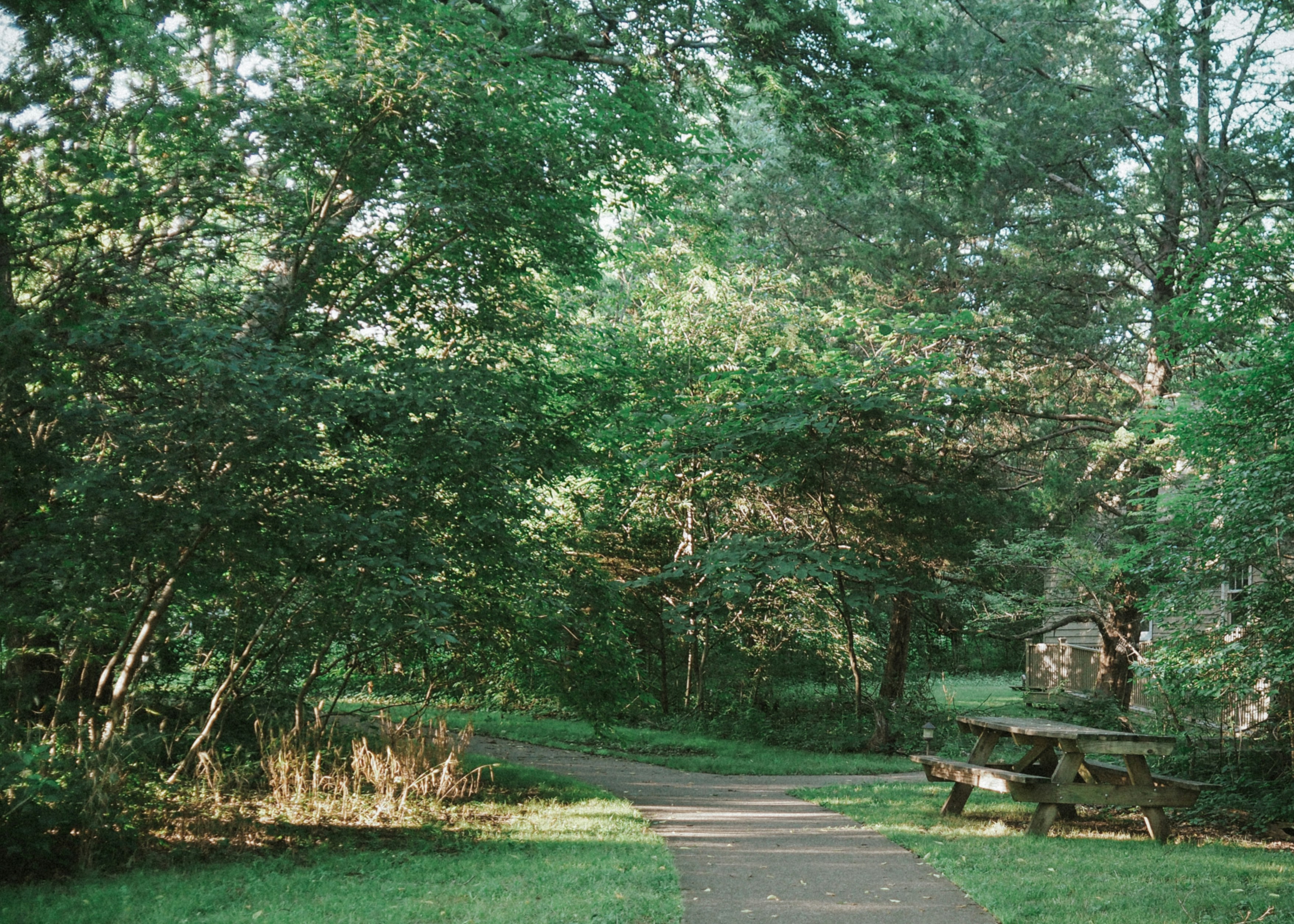 Photo by fieldworkframes