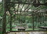 A rustic wooden trellis supporting climbing beans beside a cozy garden bench.