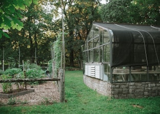 A greenhouse constructed with glass panes and a stone base is located on a green lawn. To the left, there are garden beds surrounded by wooden fences, filled with a variety of plants and vines carefully tended with support structures. Tall trees with dense foliage create a lush background, giving the area a sense of natural tranquility.
