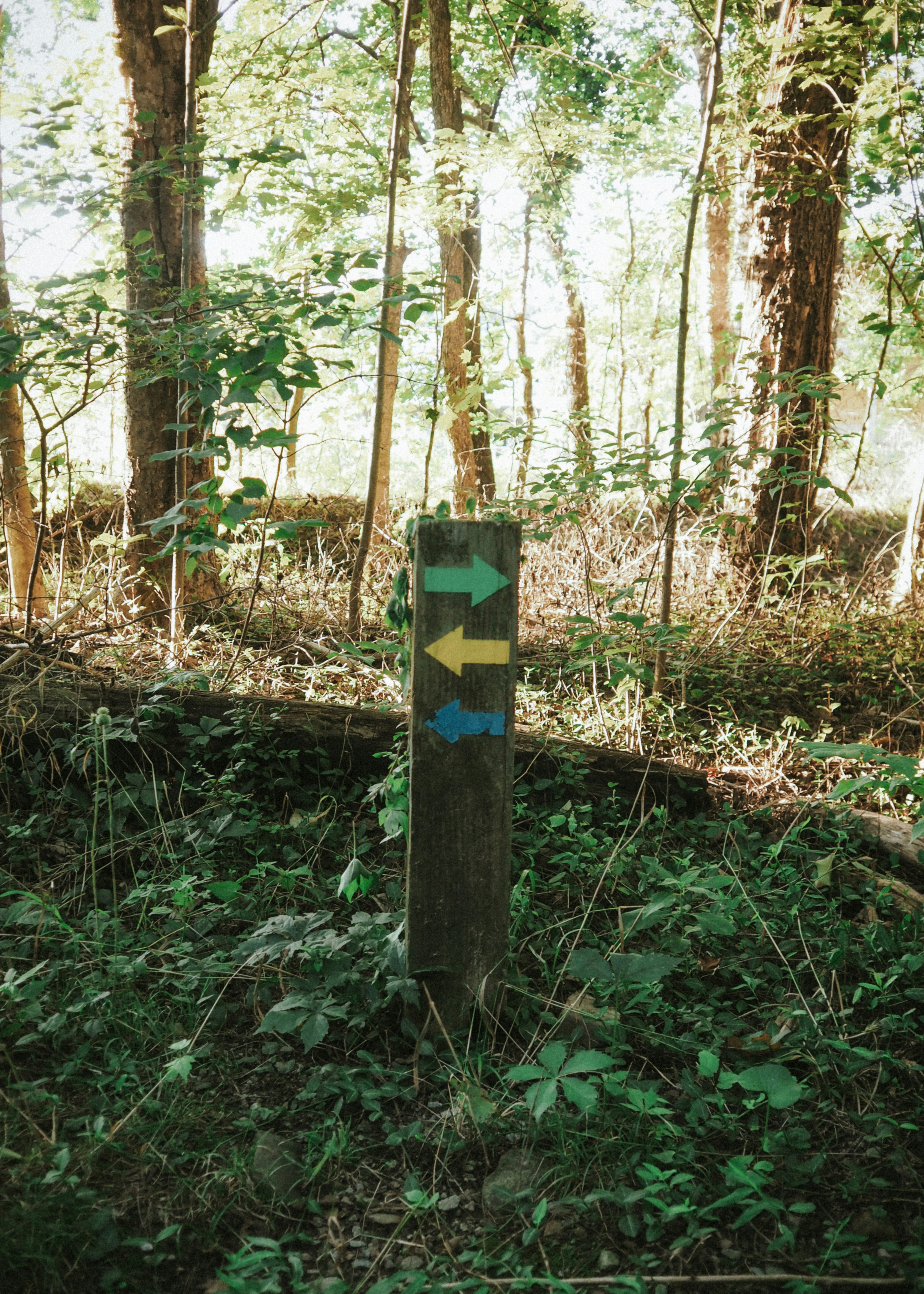 Photo by fieldworkframes