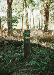 a wooden sign in the middle of a forest