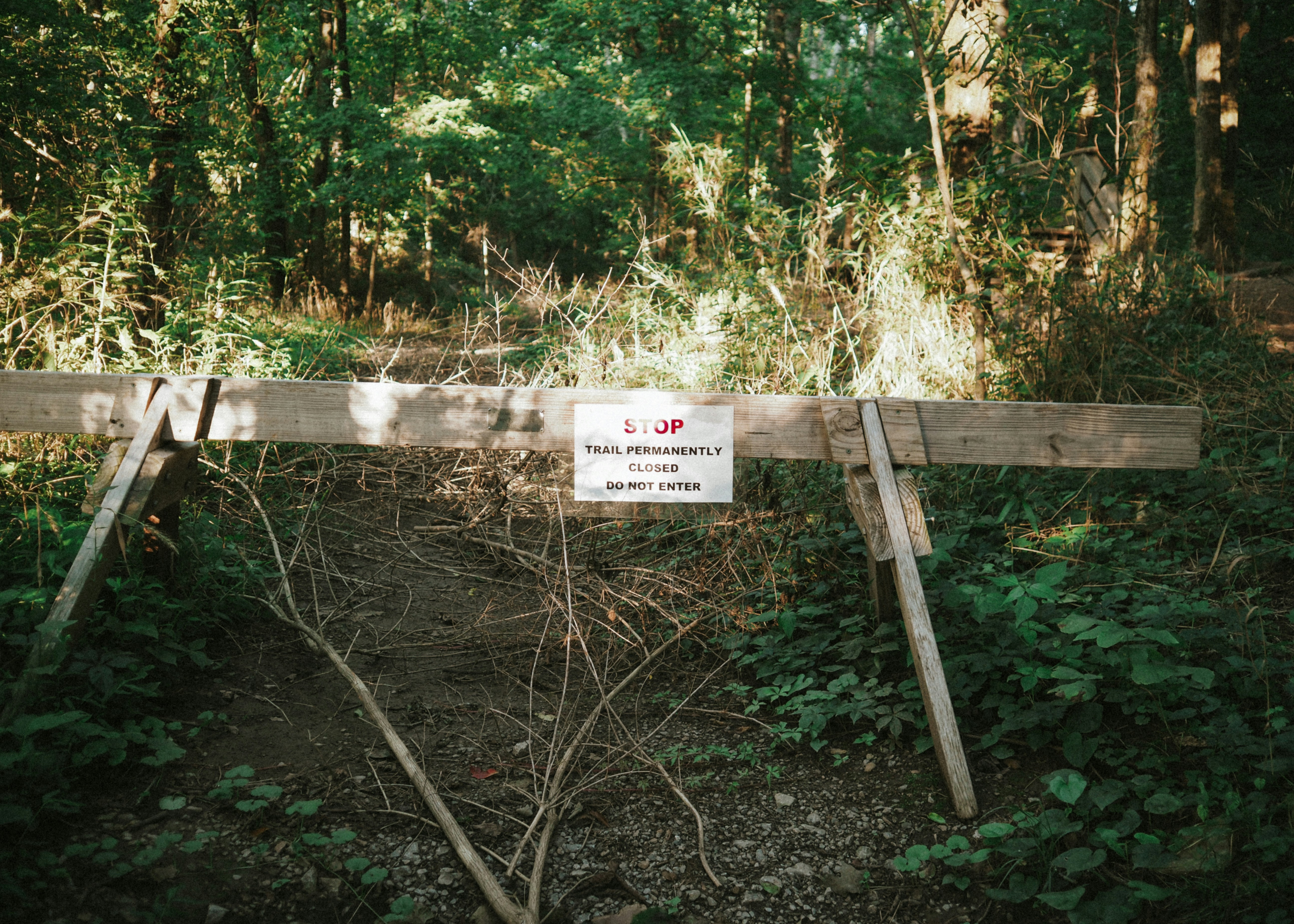 Photo by fieldworkframes