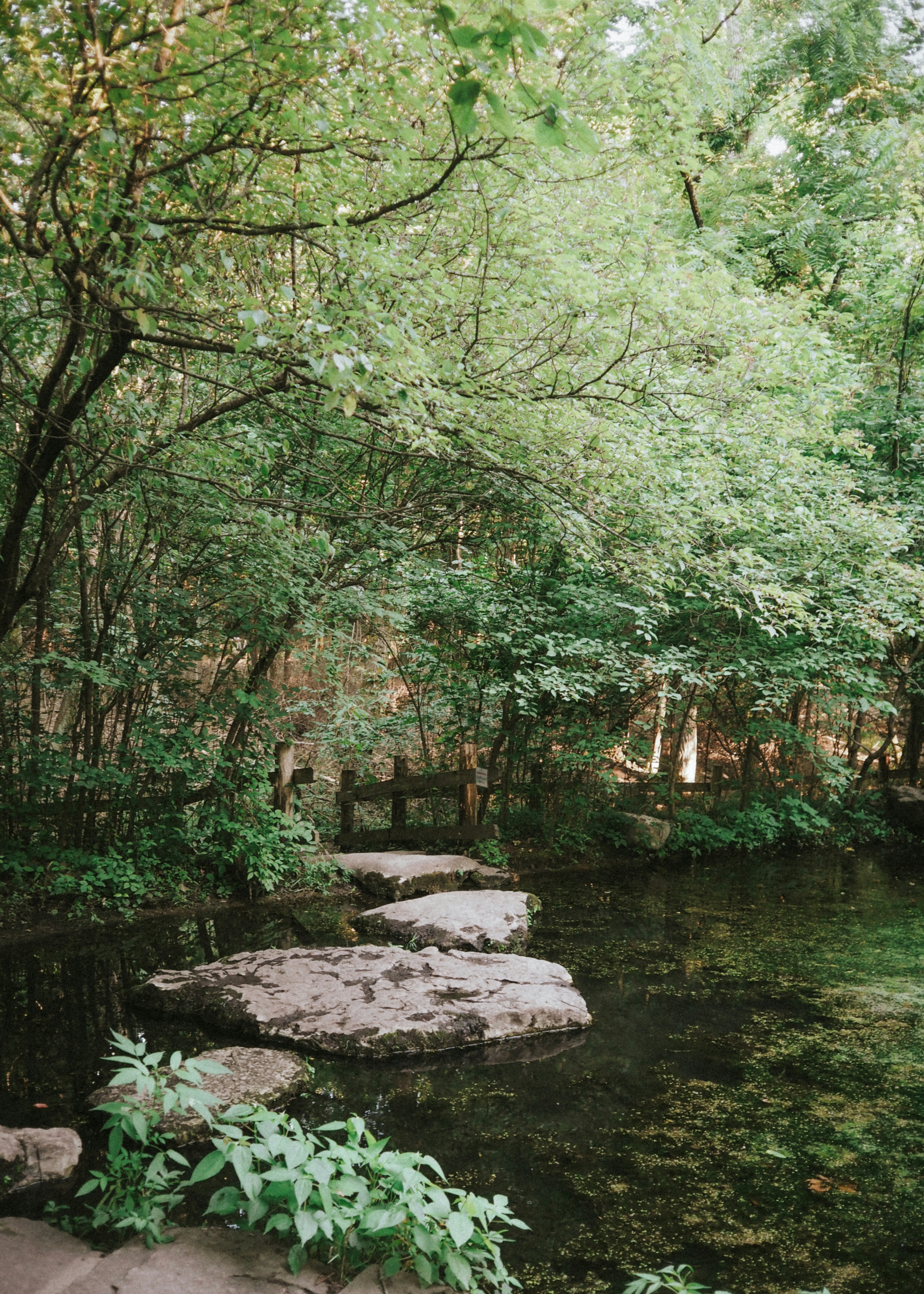 Photo by fieldworkframes