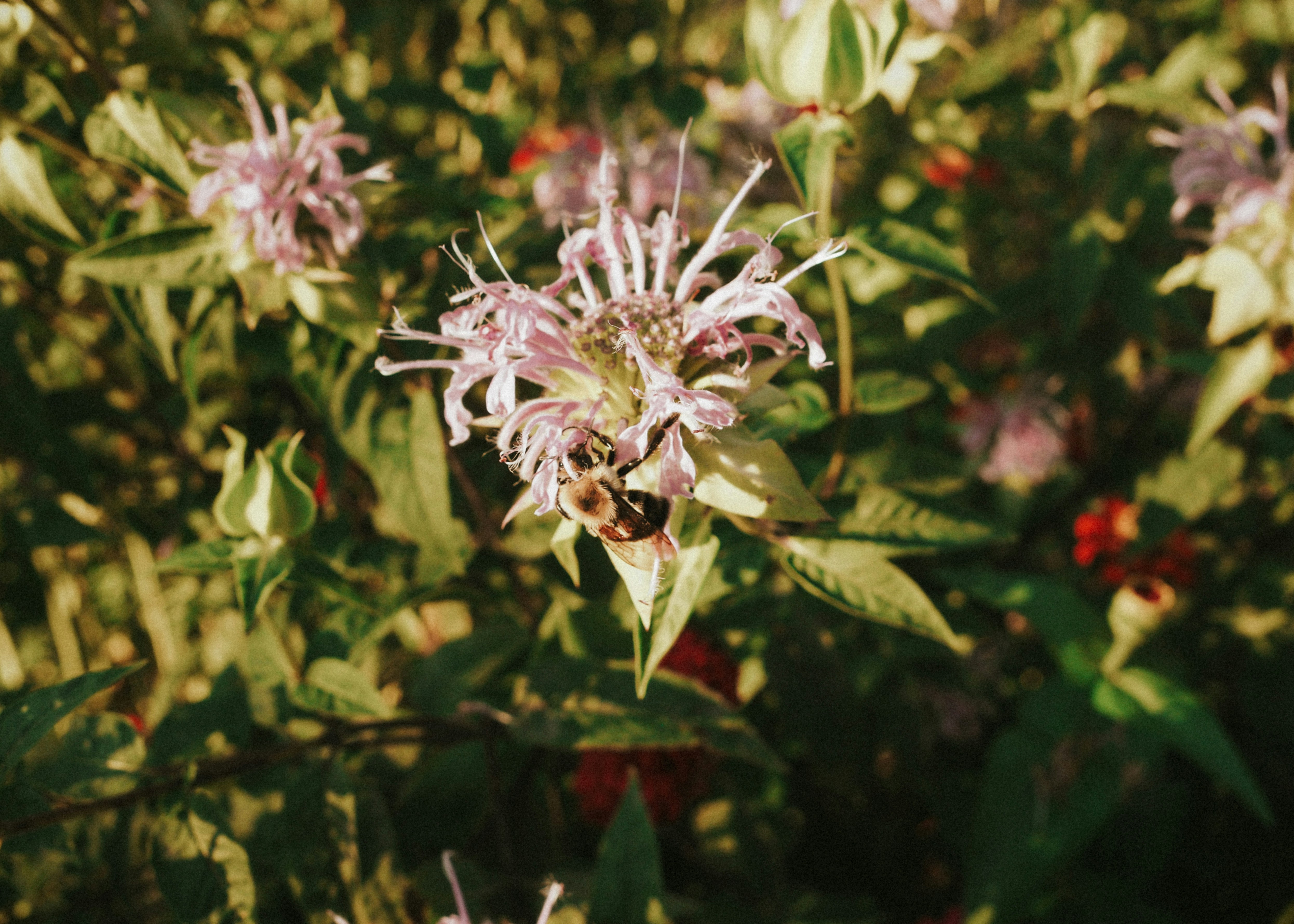 Photo by fieldworkframes