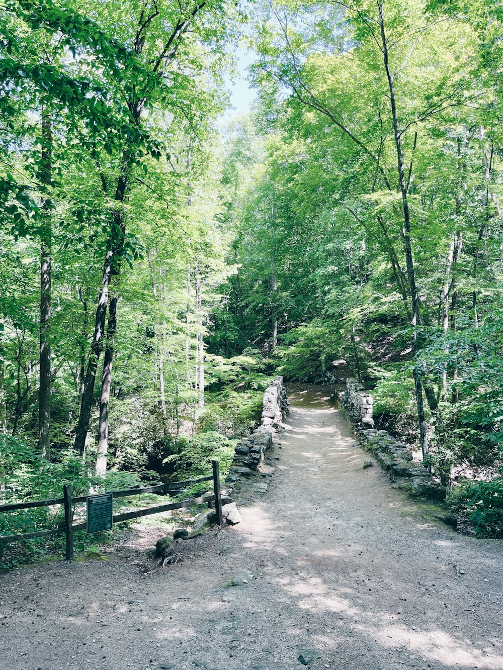 a dirt road in the middle of a forest