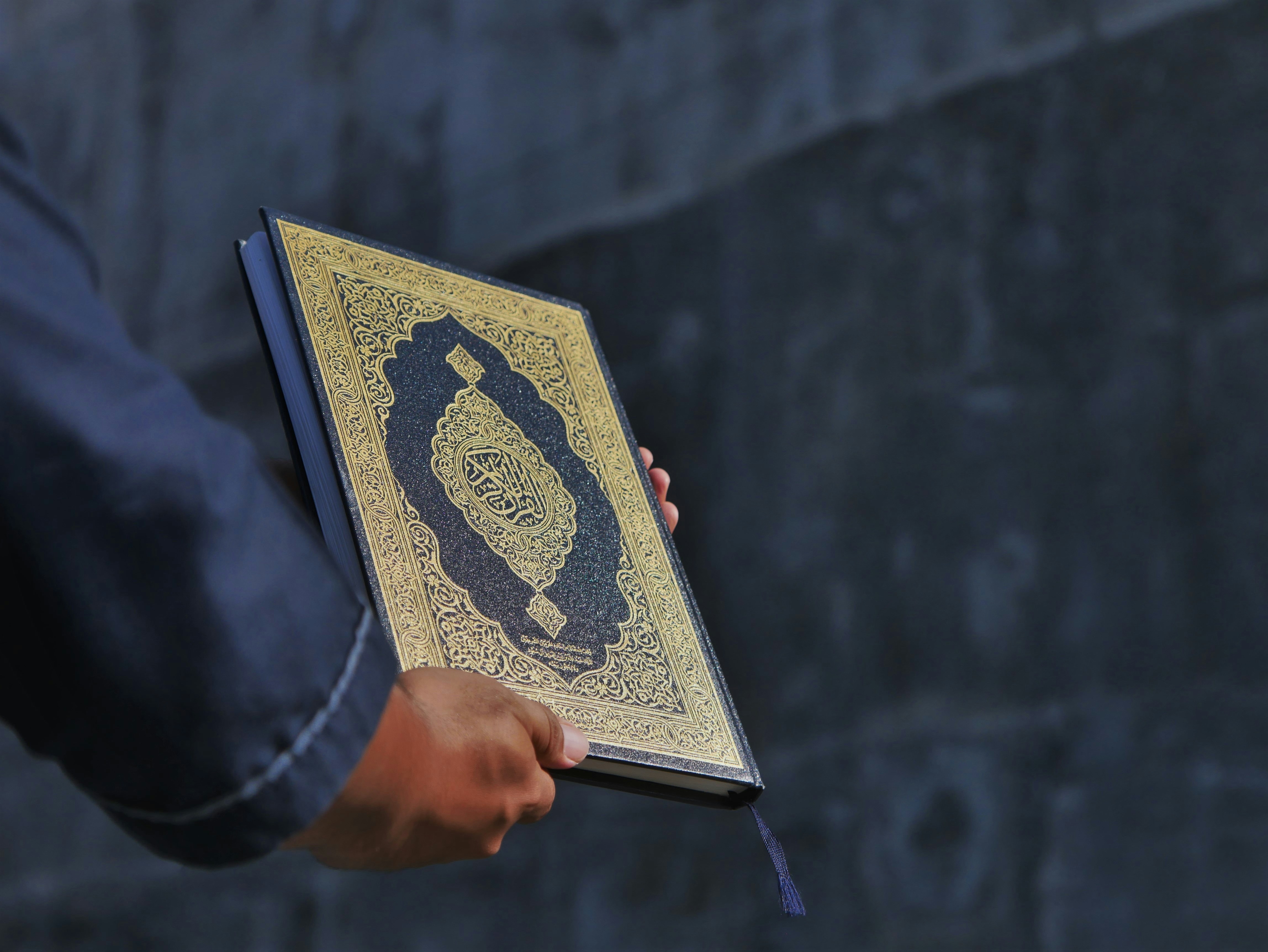 a person holding a book in their hand
