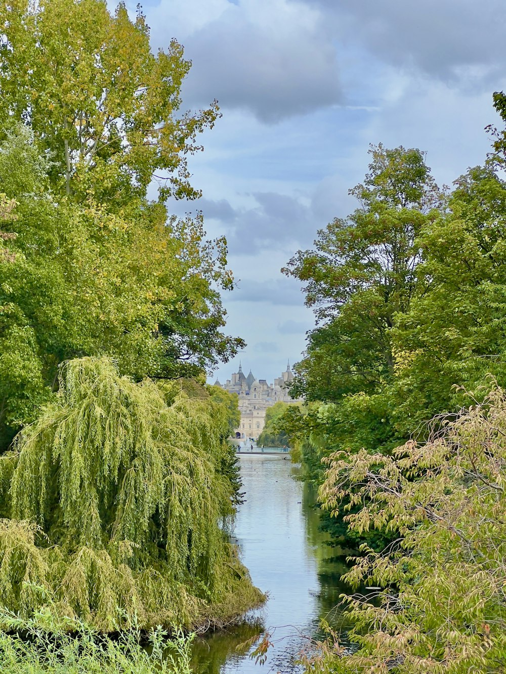 a river running through a lush green forest