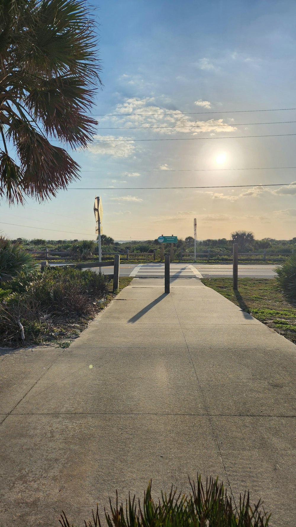 the sun is setting over the street and palm trees