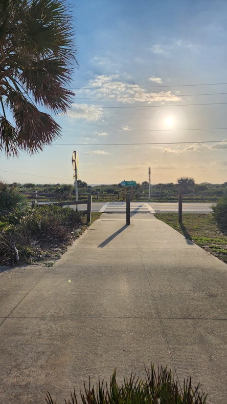 Palm tree-lined street at sunset in Melbourne, Florida
