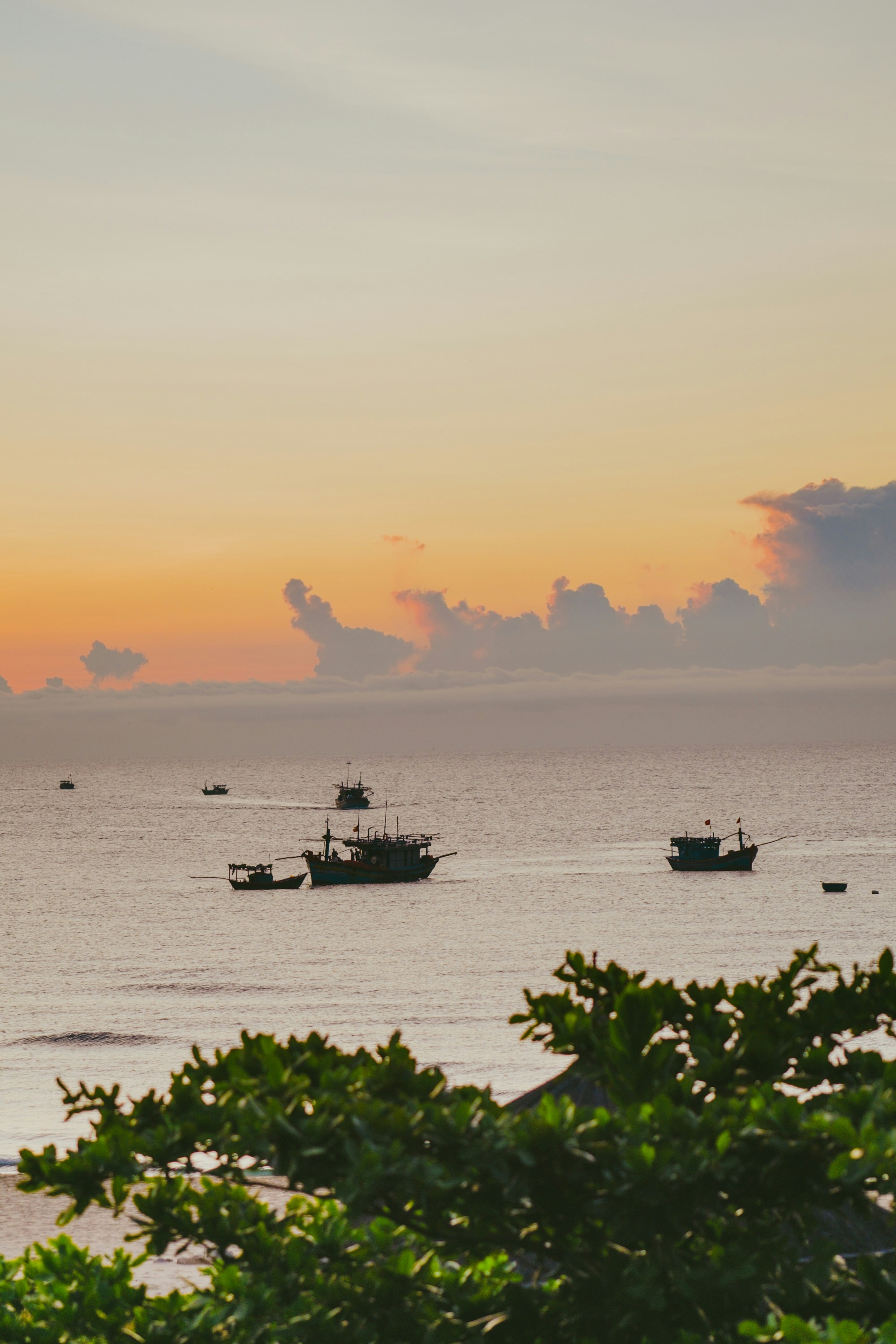 Photo by nguyentrungnguyen