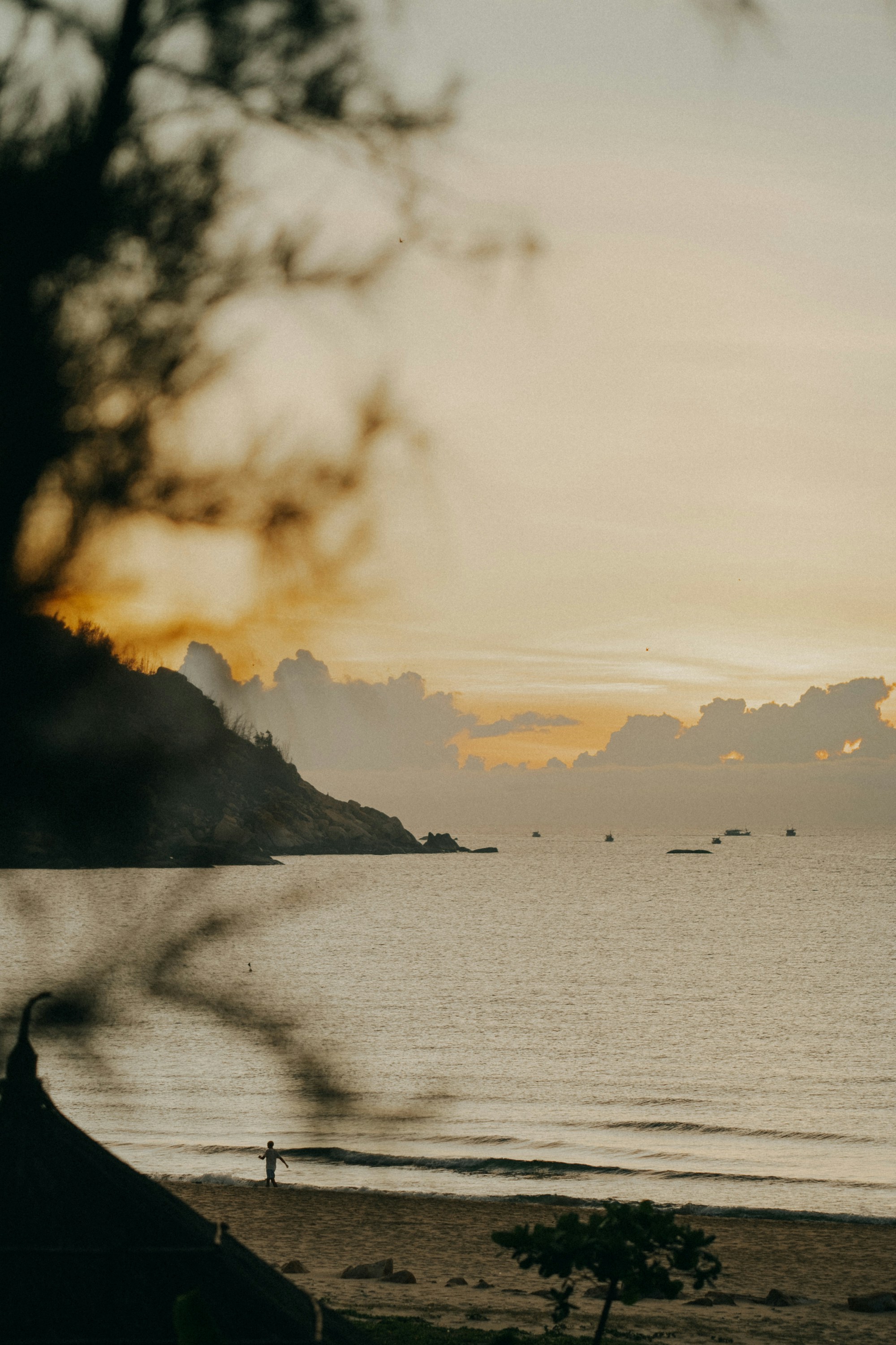 Photo by nguyentrungnguyen