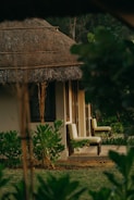 A cozy cottage with a thatched roof surrounded by lush greenery. Wooden chairs are placed on the patio, adding to the serene and rustic charm. The foliage around the house gives a natural and secluded feel.