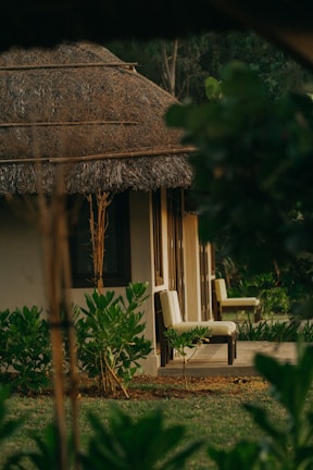 A cozy cottage with a thatched roof surrounded by lush greenery. Wooden chairs are placed on the patio, adding to the serene and rustic charm. The foliage around the house gives a natural and secluded feel.
