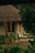 A cozy cottage with a thatched roof surrounded by lush greenery. Wooden chairs are placed on the patio, adding to the serene and rustic charm. The foliage around the house gives a natural and secluded feel.