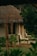 A cozy cottage with a thatched roof surrounded by lush greenery. Wooden chairs are placed on the patio, adding to the serene and rustic charm. The foliage around the house gives a natural and secluded feel.