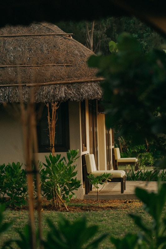 A cozy cottage with a thatched roof surrounded by lush greenery. Wooden chairs are placed on the patio, adding to the serene and rustic charm. The foliage around the house gives a natural and secluded feel.