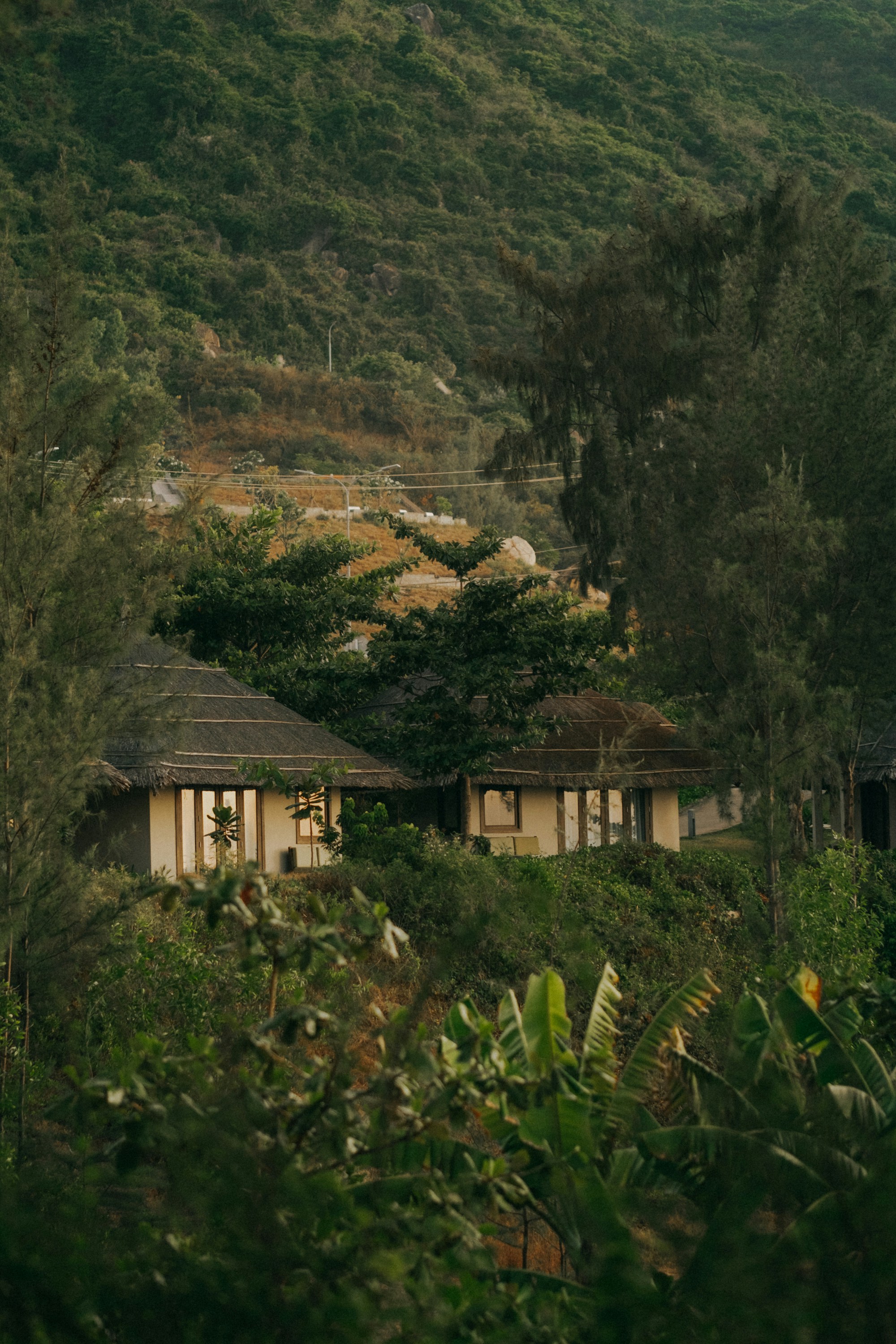 Photo by nguyentrungnguyen