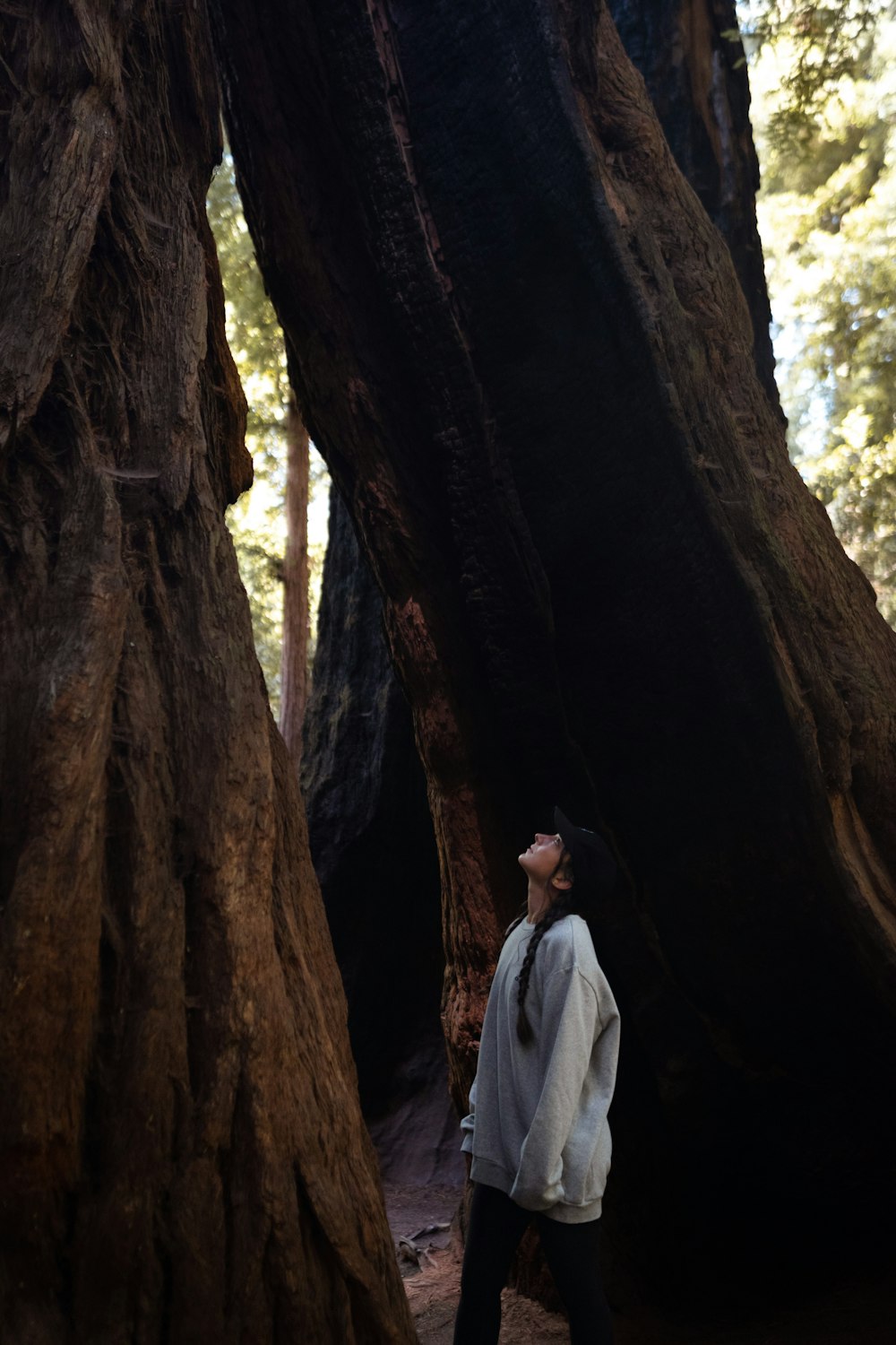 a person standing in the middle of a forest