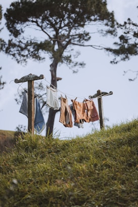 Laundry is strung up on a clothesline in a natural outdoor setting. The scene includes various garments hanging on a line supported by wooden posts. A large tree with a sprawling canopy is visible in the background, with lush green grass in the foreground.