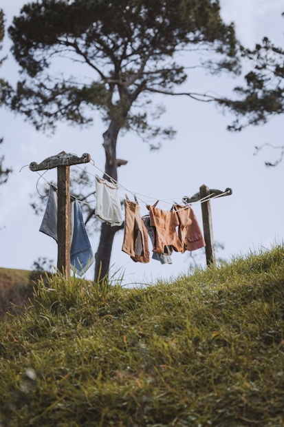 Laundry is strung up on a clothesline in a natural outdoor setting. The scene includes various garments hanging on a line supported by wooden posts. A large tree with a sprawling canopy is visible in the background, with lush green grass in the foreground.