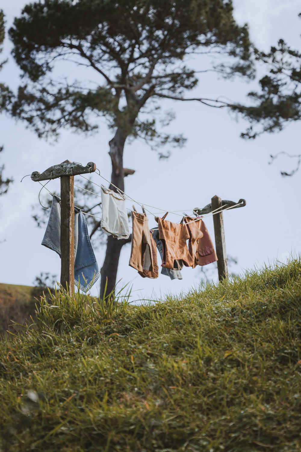 Vêtements suspendus pour sécher sur une corde à linge photo – Photo  Nouvelle-Zélande Gratuite sur Unsplash