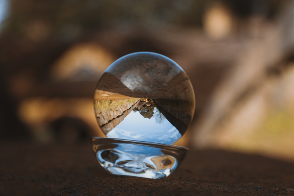 uma bola de vidro com um reflexo de uma árvore nela