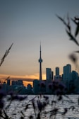 A panoramic view of Toronto's skyline at sunset with the CN Tower glowing.
