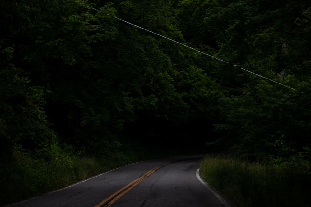 a dark road in the middle of a forest