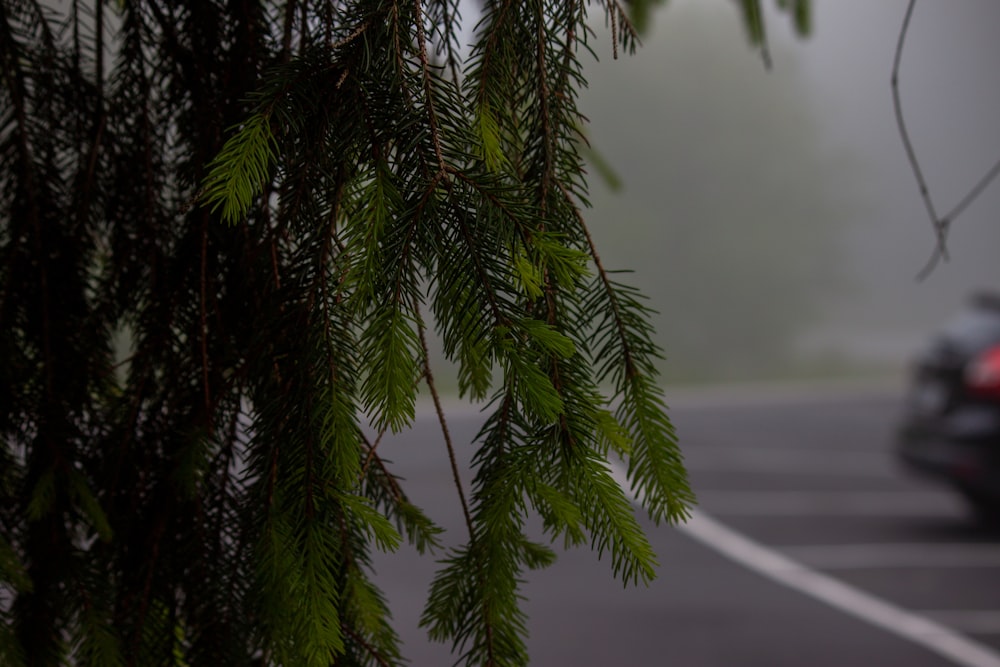 a car driving down a road on a foggy day